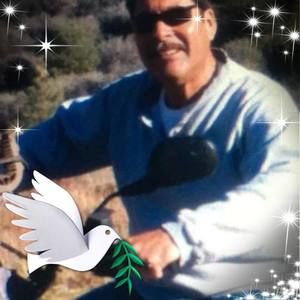 Meet your Posher, Stella